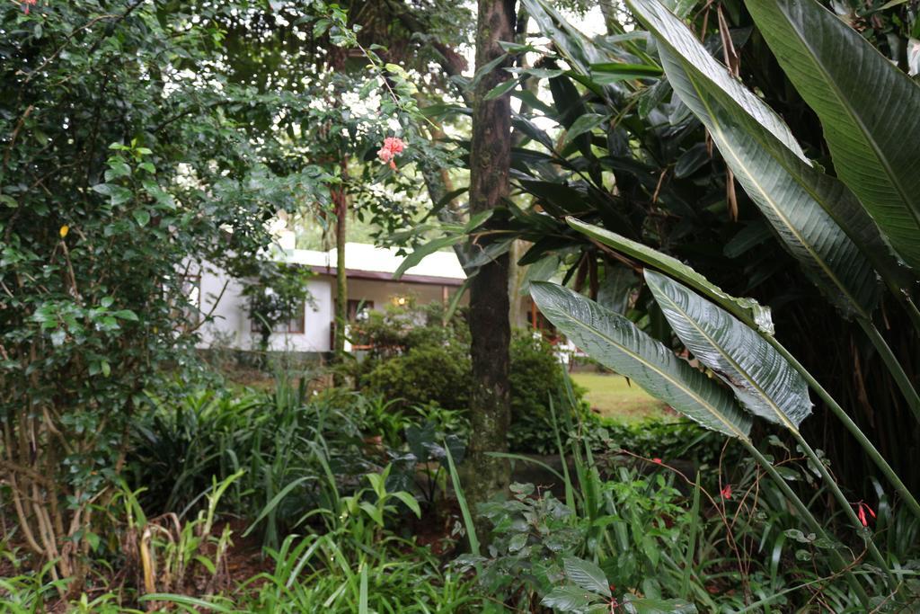 Softwaters Guesthouse Cottages Луис-Тричард Экстерьер фото